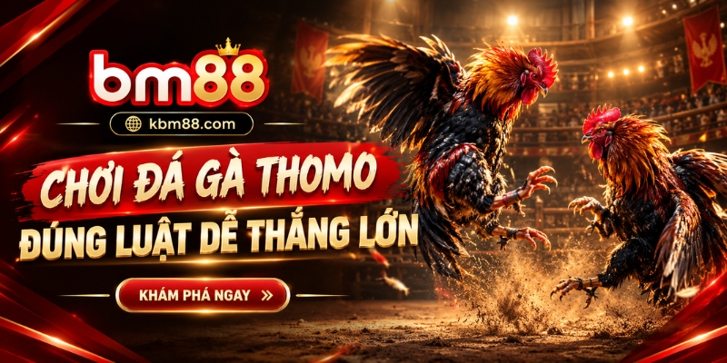 Chơi đá gà Thomo BM88 đúng luật dễ thắng lớn