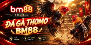 Đá Gà Thomo BM88