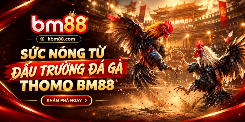 Sức nóng từ đấu trường đá gà Thomo BM88